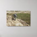 Pesquisar por descendentes impressão de canvas Dia