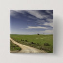 Pesquisar por rural botons Horizontal