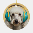 Pesquisar por ouvido ornamentos Animal