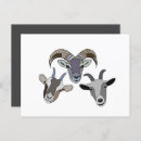 Pesquisar por cabra engraçada cartoes postais For her