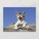 Pesquisar por yawning cartoes postais Cansado