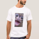Pesquisar por macaco do marmoset Pigmeu