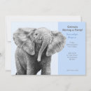 Pesquisar por elefante africano convites Vida selvagem