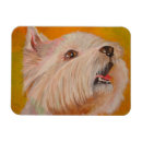 Pesquisar por terrier do westie imas Cães