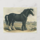 Pesquisar por cavalos cartoes postais Antiguidade