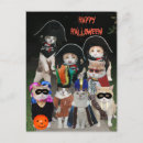 Pesquisar por halloween cartoes postais Humor
