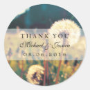 Pesquisar por dandelion adesivos Prado