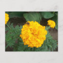 Pesquisar por flores amarelas brilhantes convites Verde