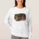 Pesquisar por monumental camisetas Cidade