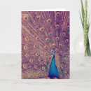 Pesquisar por peacock cartoes Colorido