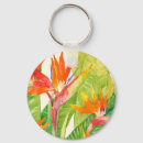 Pesquisar por ave chaveiros Tropical