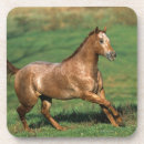 Pesquisar por cavalo appaloosa porta copos Equestre