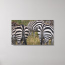 Pesquisar por zebra impressão de canvas Arte