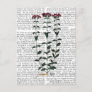 Pesquisar por cravo cartoes postais Animais