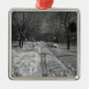 Pesquisar por nevadas ornamentos Cidade