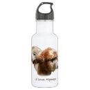 Pesquisar por doméstico garrafa agua Animais