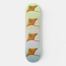 Pesquisar por flame skates Ray