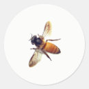 Pesquisar por vespas adesivos Abelha