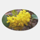 Pesquisar por amarelo oval adesivos Flor