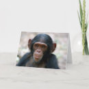 Pesquisar por chimpanzés cartoes Arte