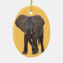 Pesquisar por elefante africano ornamentos Animais selvagens