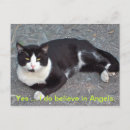 Pesquisar por anjos engraçados cartoes postais Animal