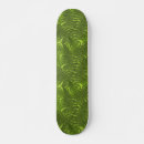 Pesquisar por samambaia skates Floral
