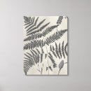 Pesquisar por plantas botânicas impressão de canvas Botânico