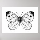 Pesquisar por borboleta vetor pósteres pôsteres Natureza