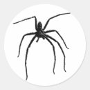 Pesquisar por aranhas pretas adesivos Assustadora