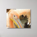 Pesquisar por vendas impressão de canvas Pelicano engraçado