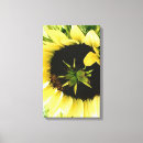 Pesquisar por girassol amarelo floral flor artes pôsteres Para eles