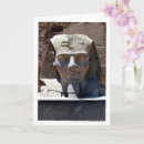 Pesquisar por pai rei cartoes Qualquer pessoa