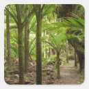 Pesquisar por samambaia adesivos Parque nacional