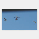 Pesquisar por o pipa adesivos Pipas