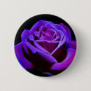 Pesquisar por gota botons Flor