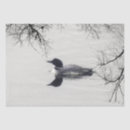 Pesquisar por pato selvagem papeis de seda Animal