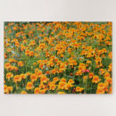 Pesquisar por difícil Desafio