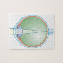 Pesquisar por olho humano pôsteres Consultório médico