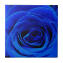 Pesquisar por flores azuis azulejos Elegante