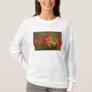 Pesquisar por aquilégia camisetas Vermelho