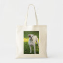 Pesquisar por de boxer bolsas Fofo