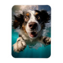 Pesquisar por dinâmica imas Produtos personalizáveis para cães