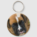 Pesquisar por boxe chaveiros Cachorros