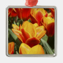 Pesquisar por holanda ornamentos Holland