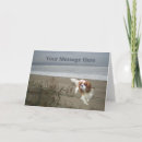 Pesquisar por cavalier king charles spaniel cartoes Cavaleiro