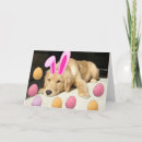 Pesquisar por do golden retriever cartoes Dogs