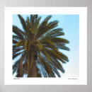 Pesquisar por palmas pôsteres Céu