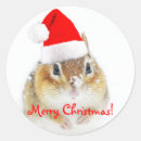 Pesquisar por chipmunk adesivos Neve