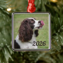 Pesquisar por natal espanhol ornamentos Spaniel